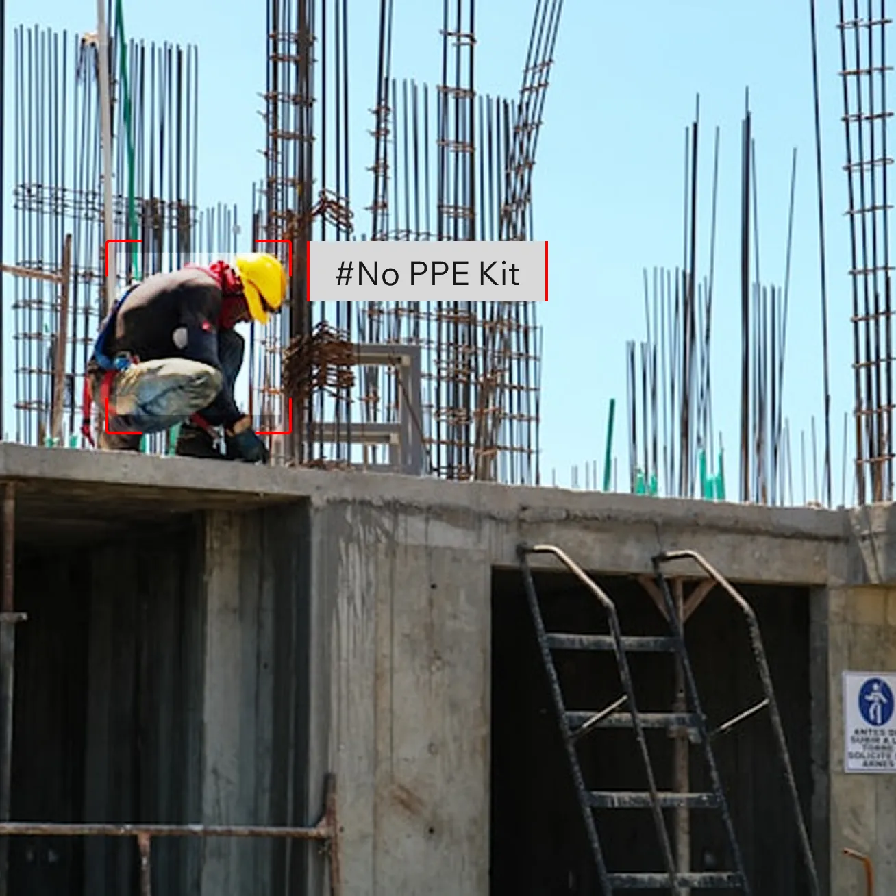 Crowd Count Detection